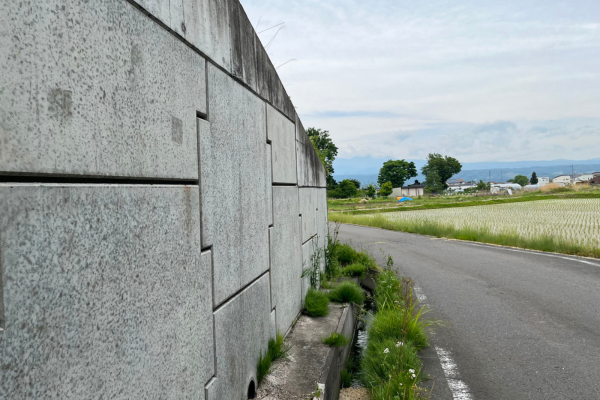 Project Boundary Wall